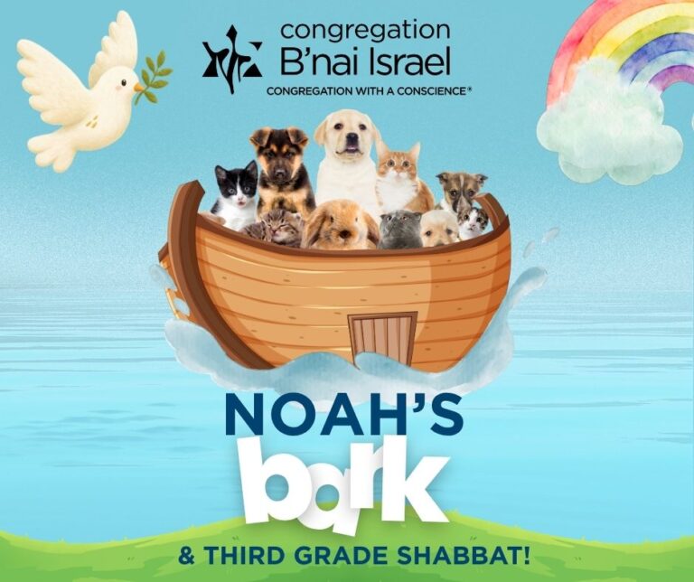 Noah's Bark 2026 (1)